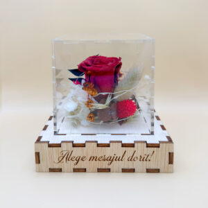 Cutie Luminoasă Decorativă - 10 cm (Model 03)