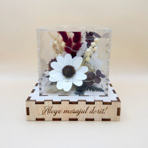 Cutie Luminoasă Decorativă – 10 cm (Model 06)