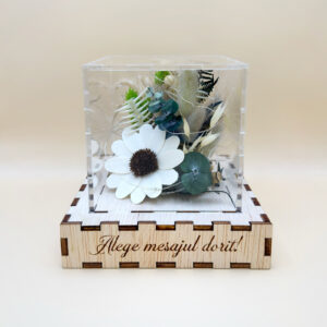 Cutie Luminoasă Decorativă – 10 cm (Model 10)