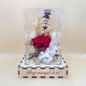 Cutie Luminoasă Decorativă – 15 cm (Model 01)