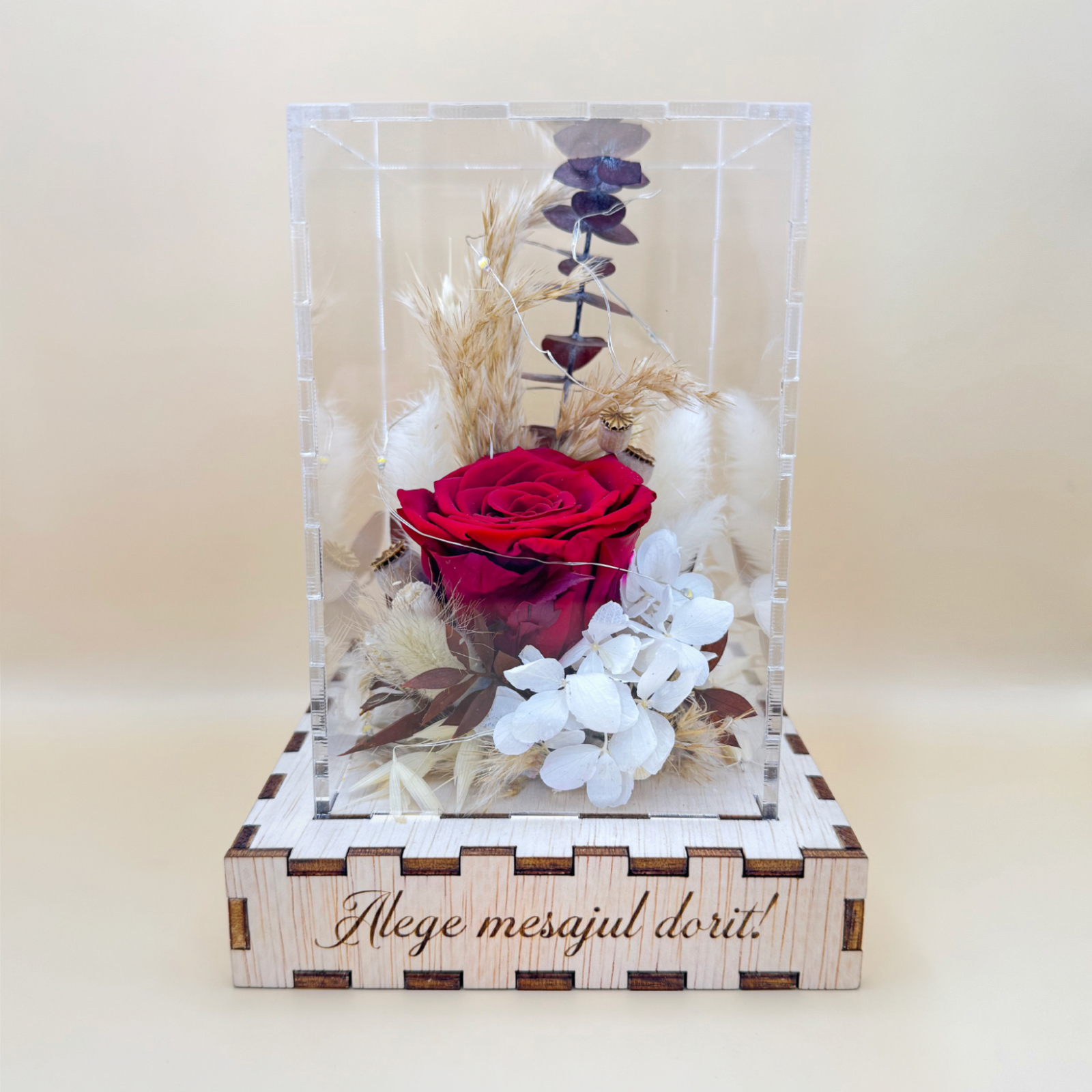 Cutie Luminoasă Decorativă – 15 cm (Model 01)