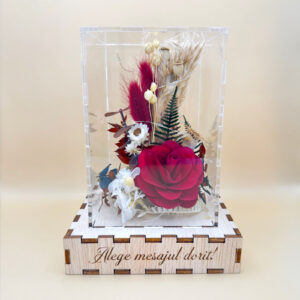 Cutie Luminoasă Decorativă – 15 cm (Model 02)