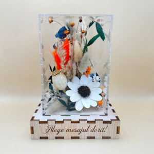 Cutie Luminoasă Decorativă – 15 cm (Model 07)