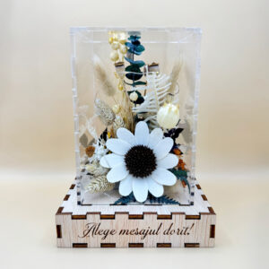 Cutie Luminoasă Decorativă – 15 cm (Model 08)