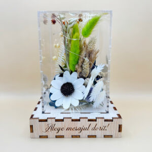 Cutie Luminoasă Decorativă – 15 cm (Model 10)