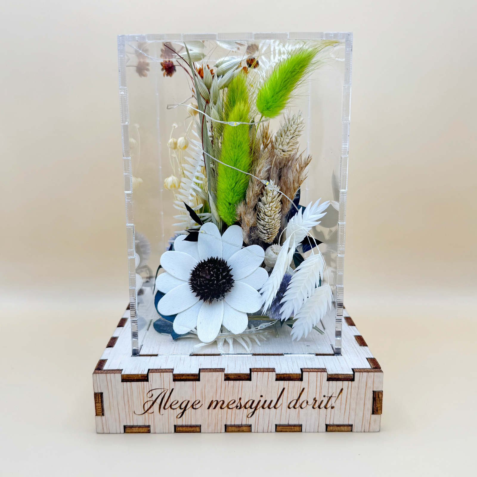 Cutie Luminoasă Decorativă – 15 cm (Model 10)