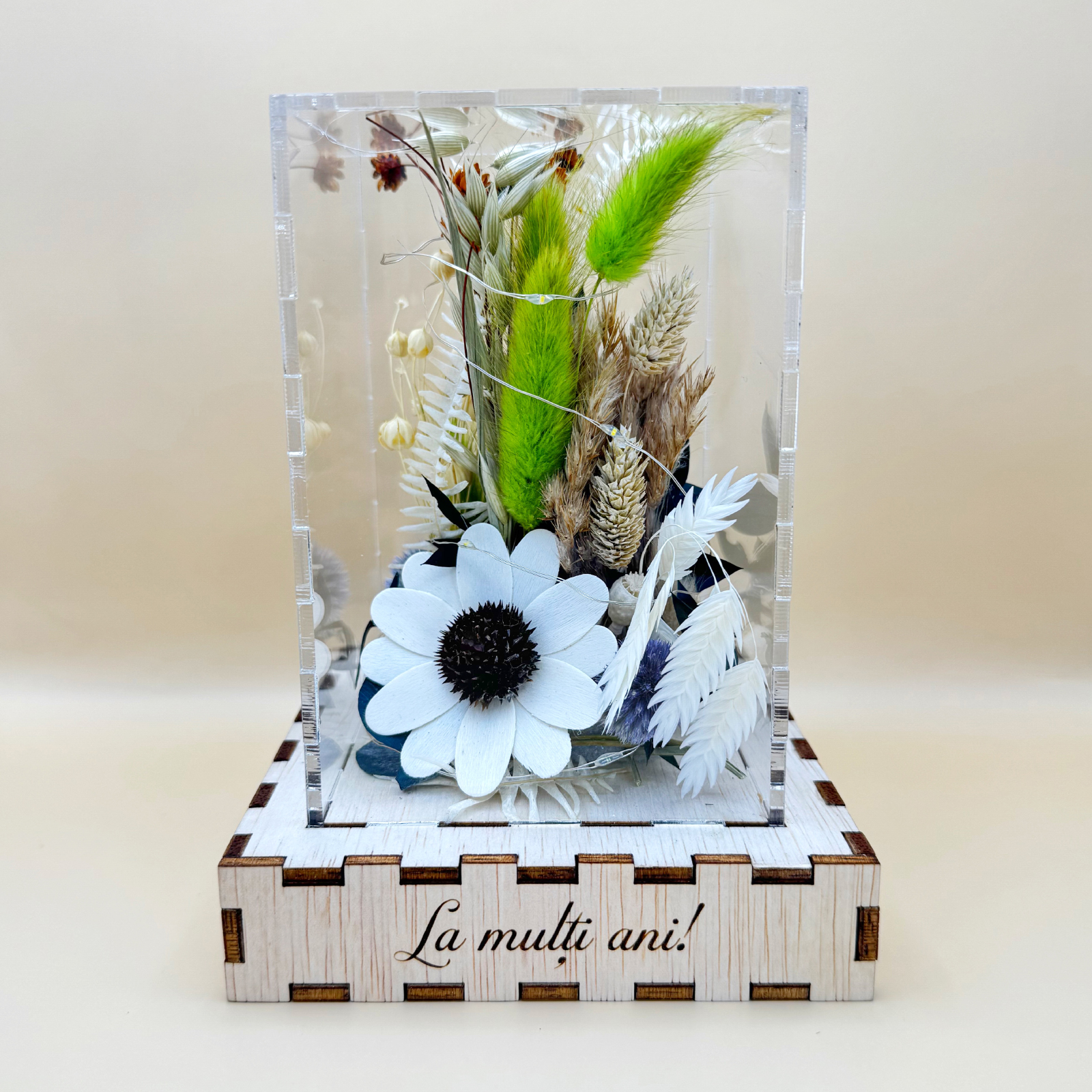 Cutie Luminoasă Decorativă – 15 cm (Model 10) - imagine 2