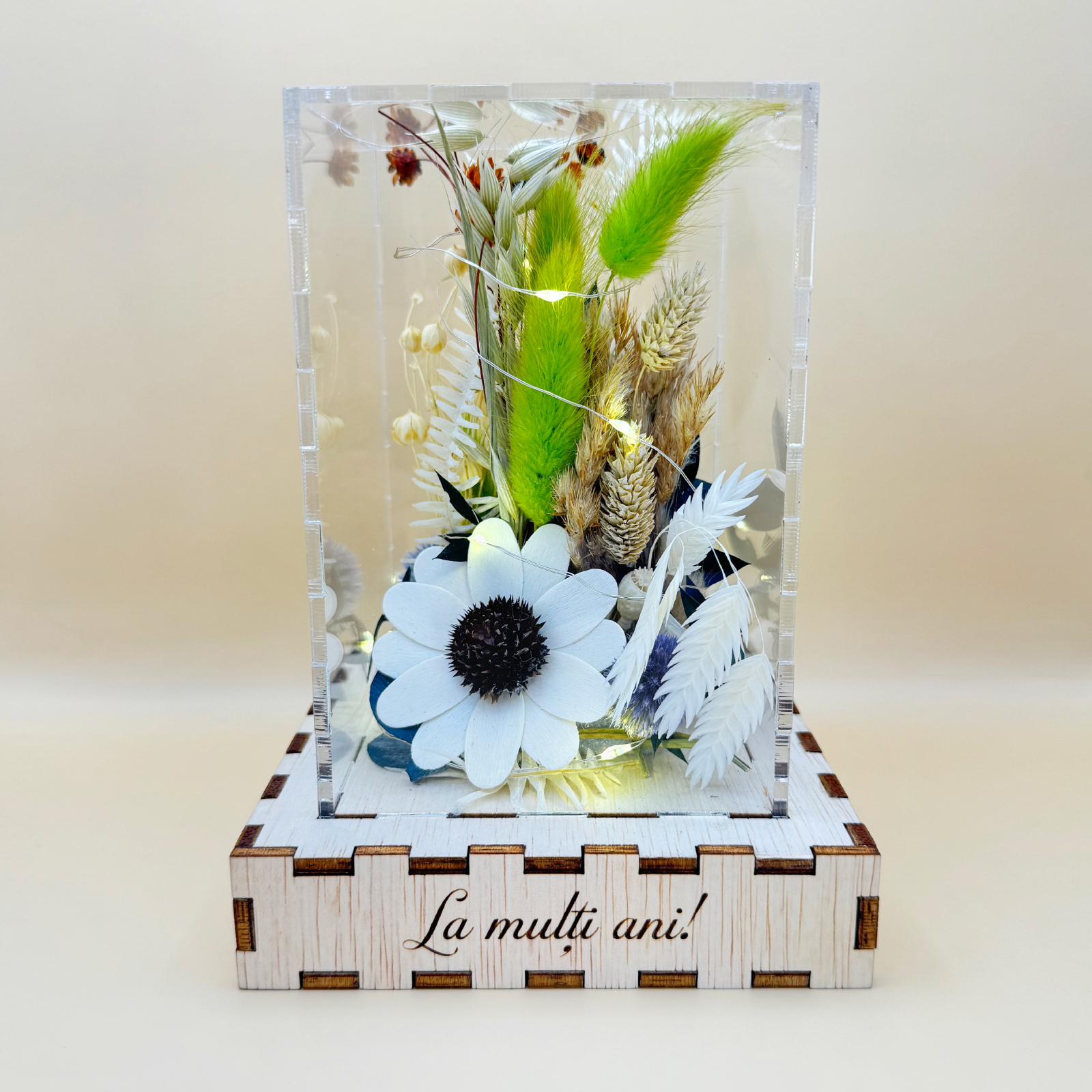 Cutie Luminoasă Decorativă – 15 cm (Model 10) - imagine 5