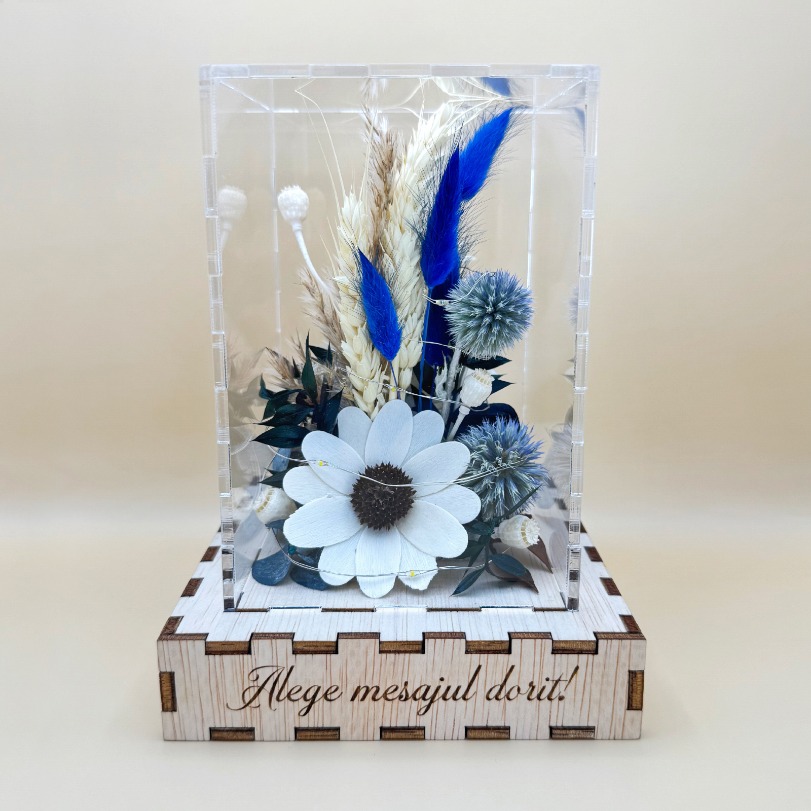 Cutie Luminoasă Decorativă – 15 cm (Model 12)