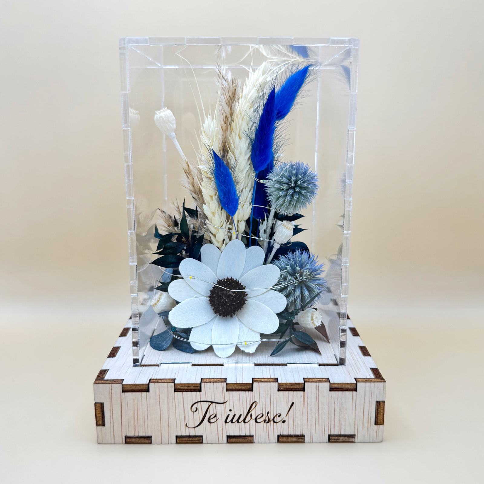 Cutie Luminoasă Decorativă – 15 cm (Model 12) - imagine 2