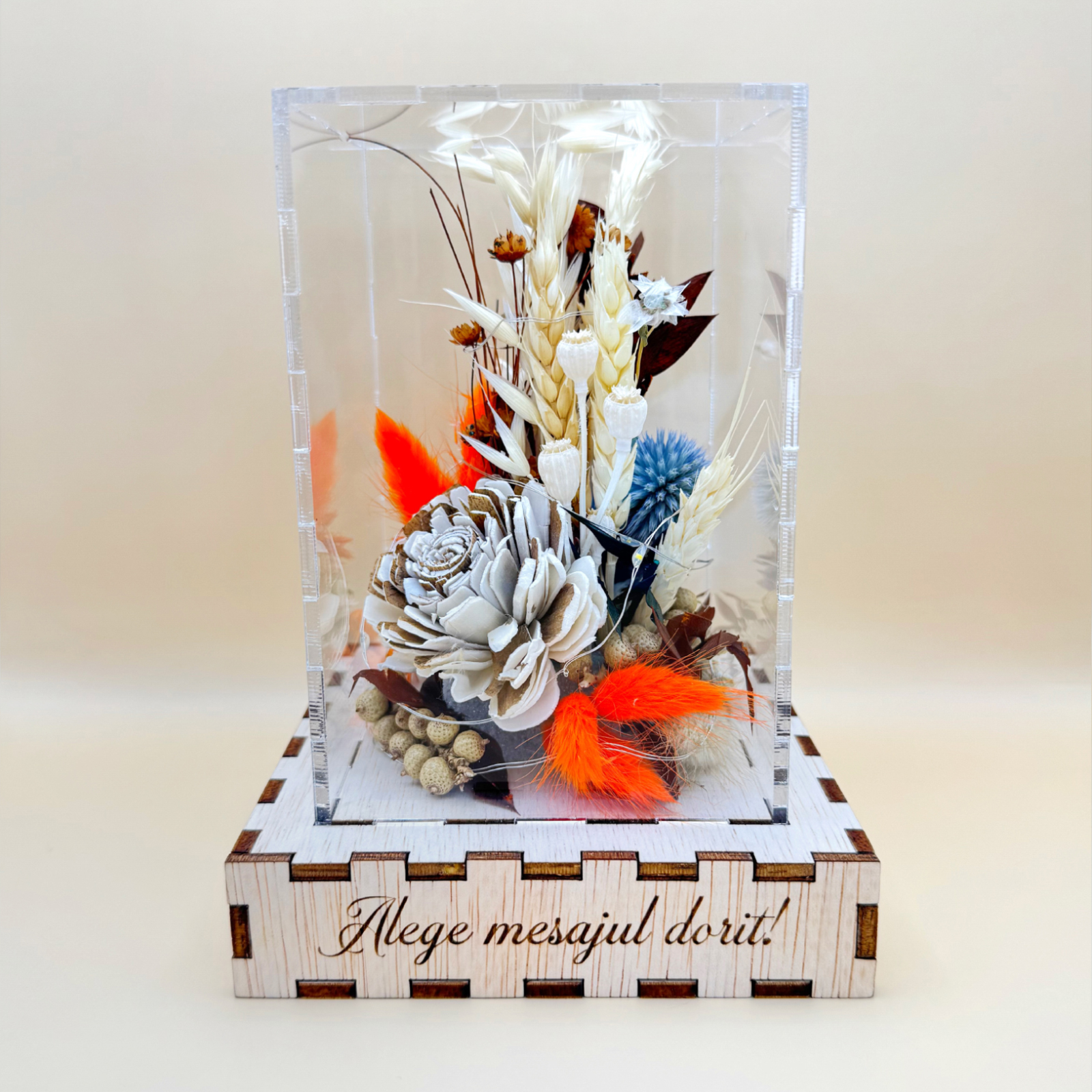 Cutie Luminoasă Decorativă – 15 cm (Model 13)