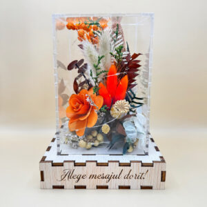 Cutie Luminoasă Decorativă – 15 cm (Model 16)