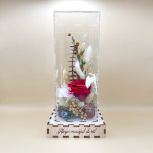 Cutie Luminoasă Decorativă – 25 cm (Model 01)