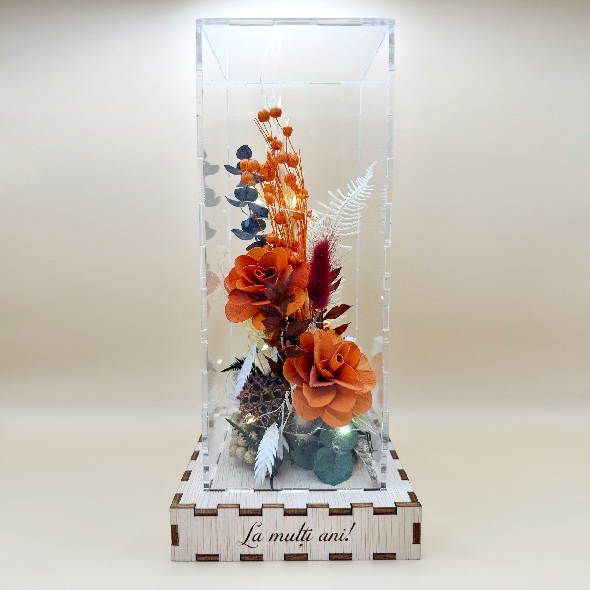 Cutie Luminoasă Decorativă – 25 cm (Model 05) - imagine 5