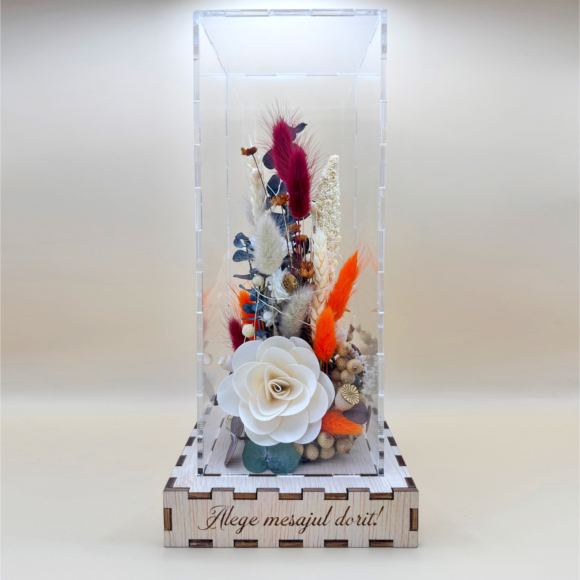 Cutie Luminoasă Decorativă – 25 cm (Model 06)