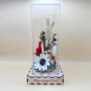 Cutie Luminoasă Decorativă – 25 cm (Model 07)