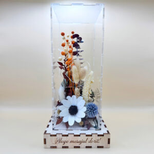 Cutie Luminoasă Decorativă – 25 cm (Model 08)