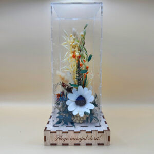 Cutie Luminoasă Decorativă – 25 cm (Model 09)