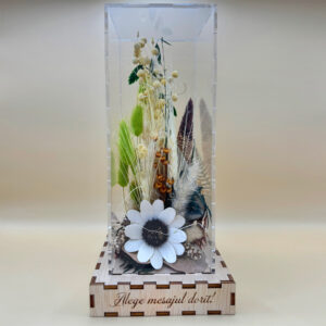 Cutie Luminoasă Decorativă – 25 cm (Model 10)