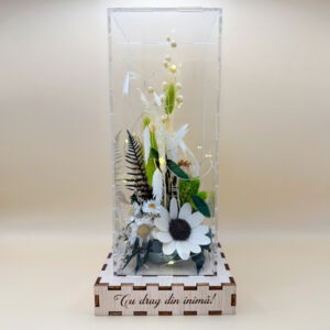 Cutie Luminoasă Decorativă – 25 cm (Model 11)