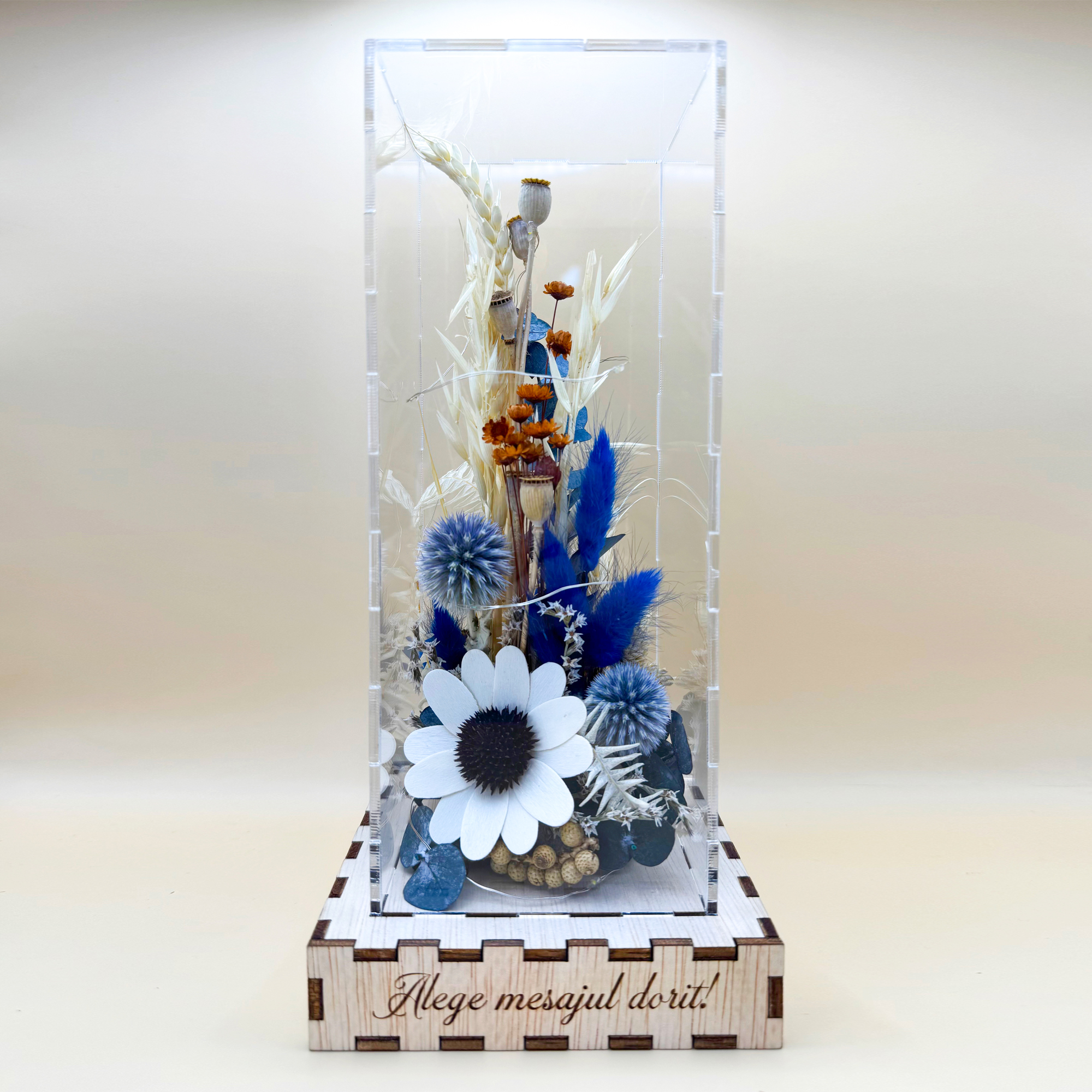 Cutie Luminoasă Decorativă – 25 cm (Model 12)