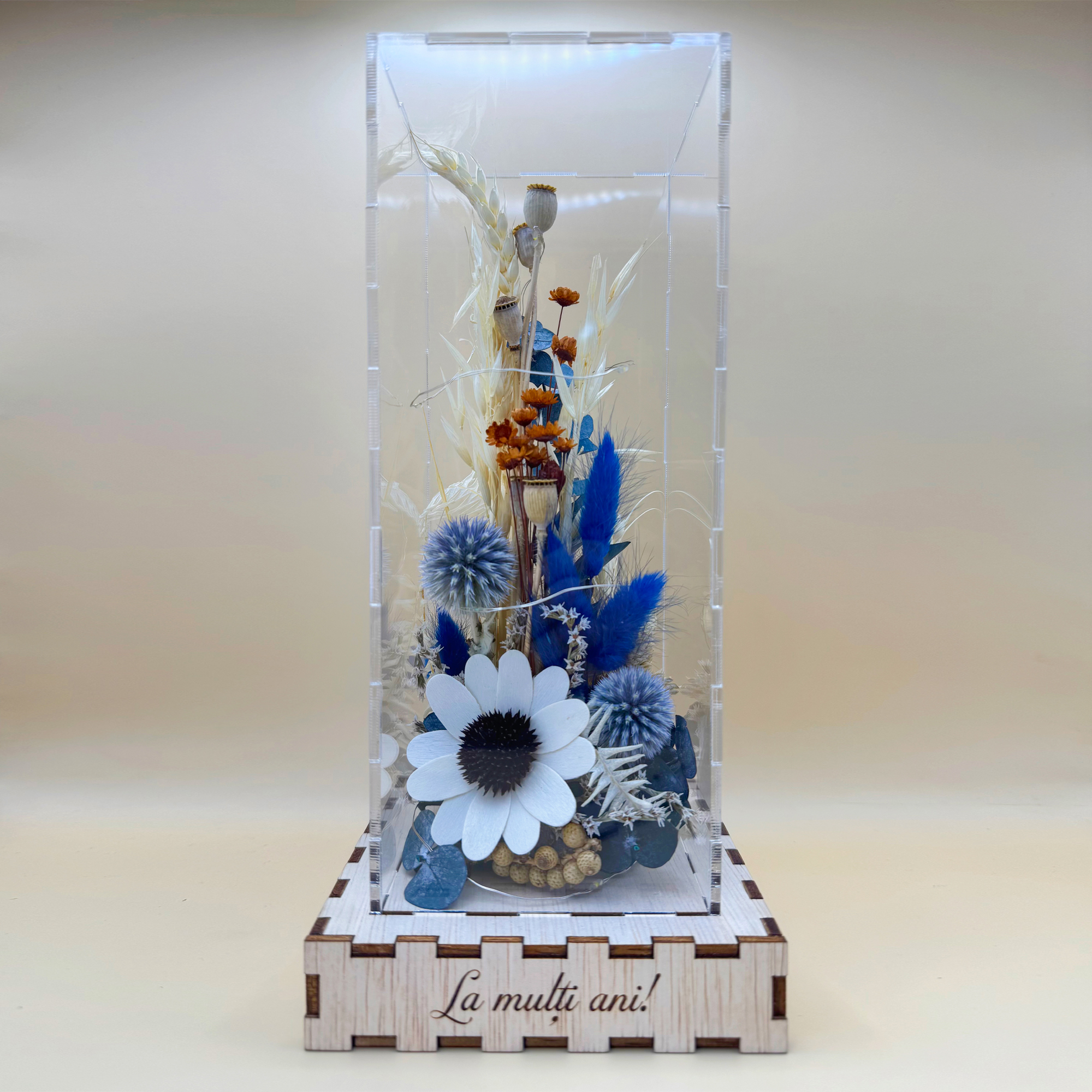 Cutie Luminoasă Decorativă – 25 cm (Model 12) - imagine 2