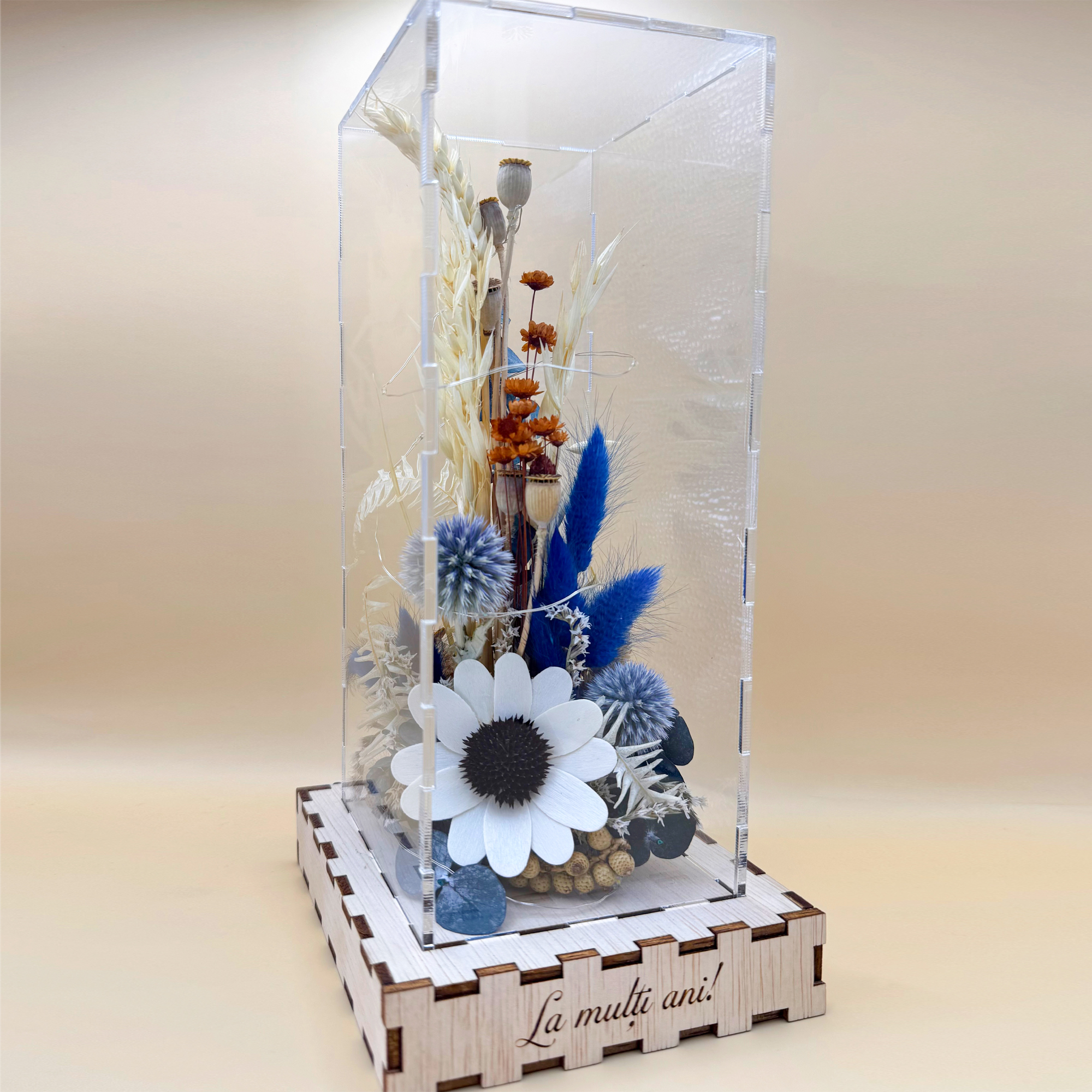 Cutie Luminoasă Decorativă – 25 cm (Model 12) - imagine 3