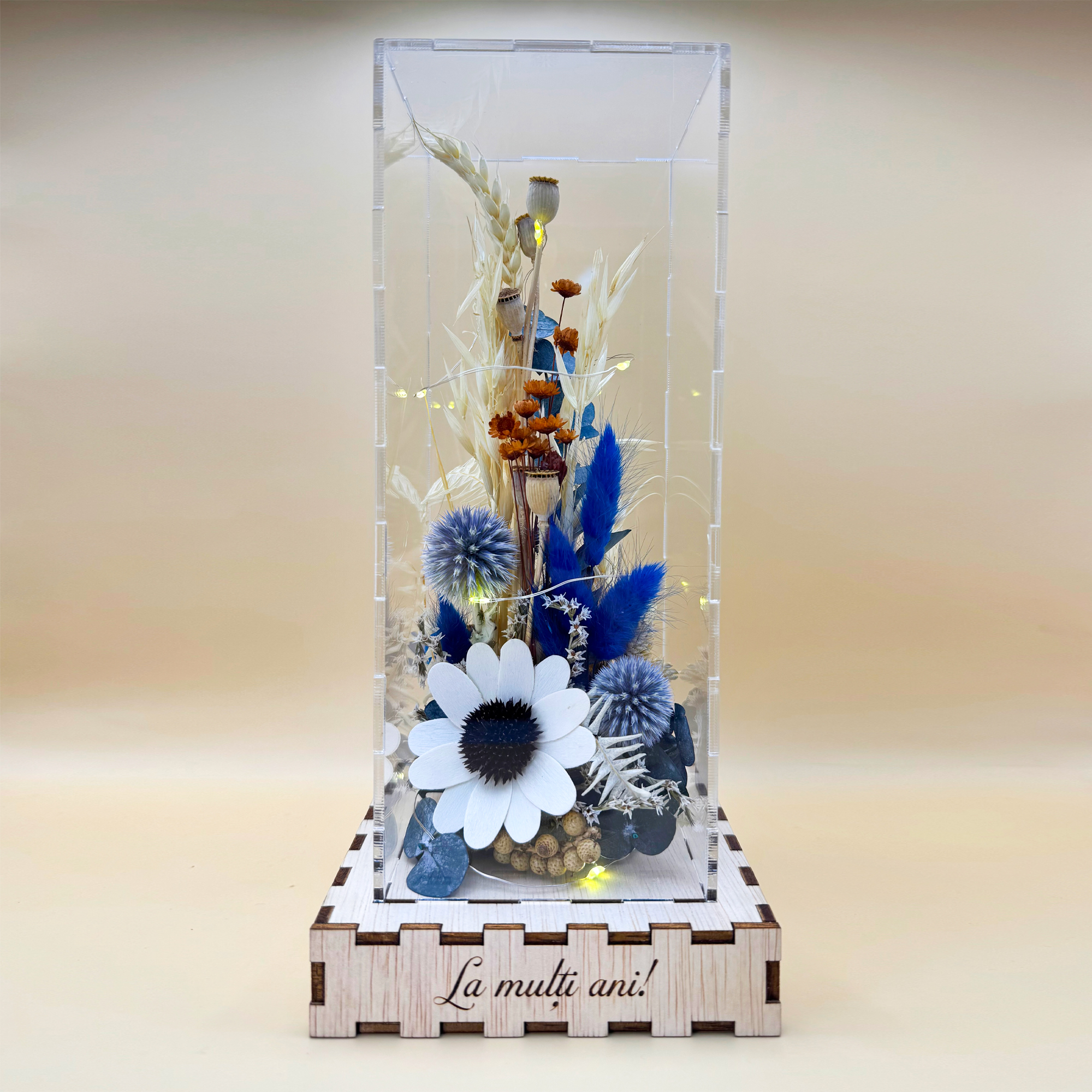 Cutie Luminoasă Decorativă – 25 cm (Model 12) - imagine 5