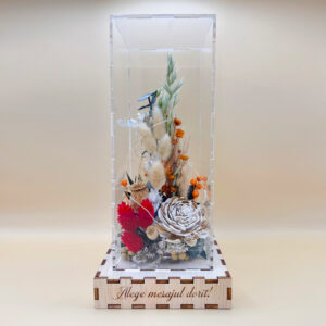 Cutie Luminoasă Decorativă – 25 cm (Model 13)