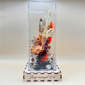 Cutie Luminoasă Decorativă – 25 cm (Model 14)