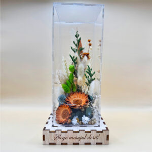 Cutie Luminoasă Decorativă – 25 cm (Model 15)