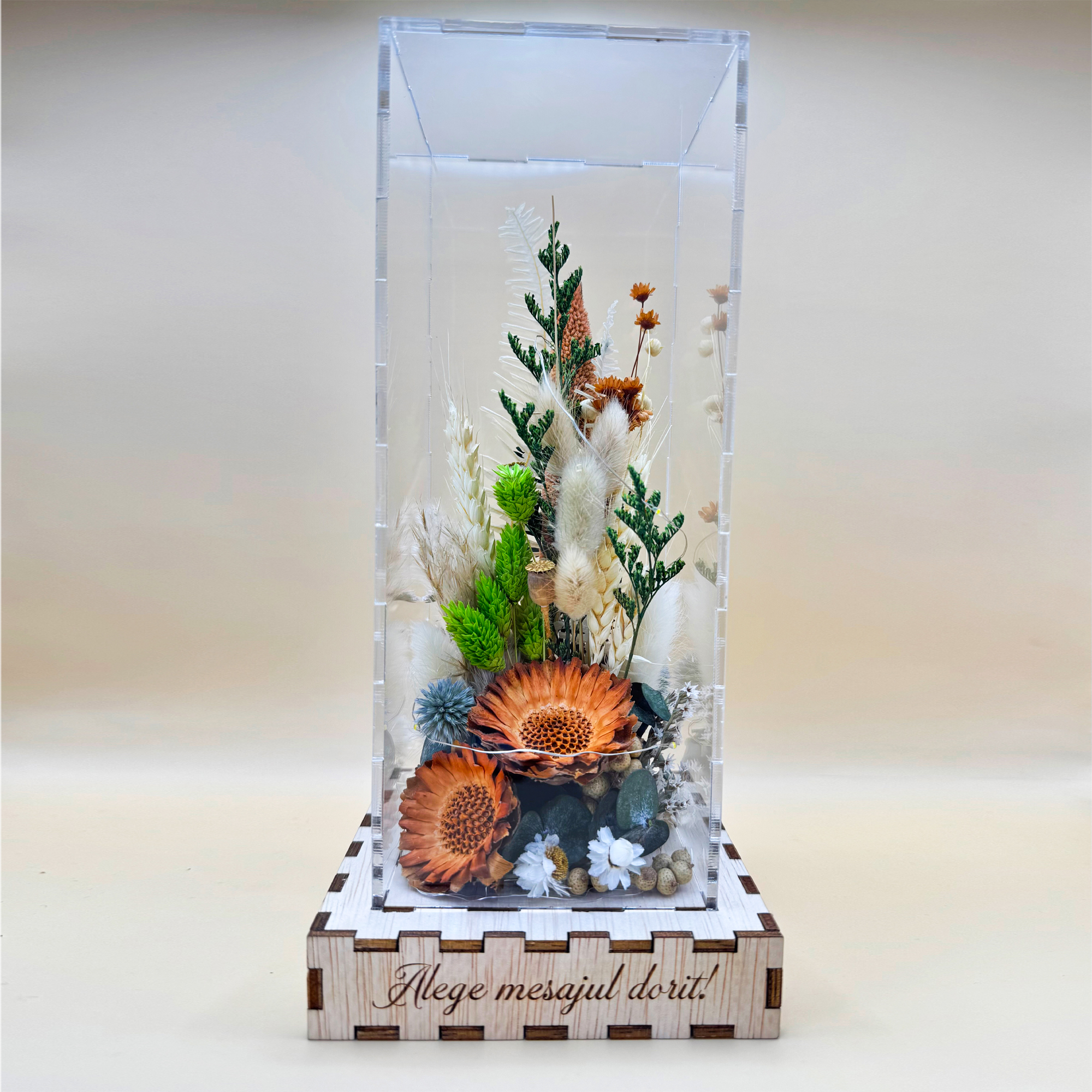 Cutie Luminoasă Decorativă – 25 cm (Model 15)