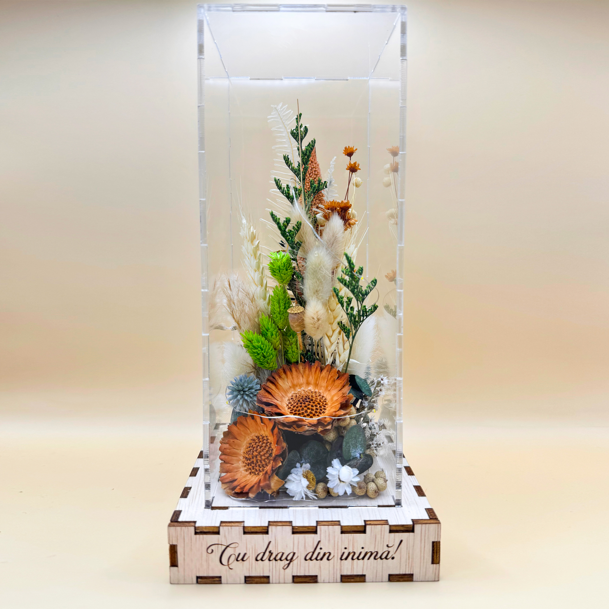 Cutie Luminoasă Decorativă – 25 cm (Model 15) - imagine 2